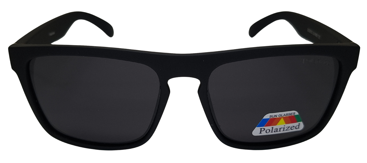 Polarized Γυαλιά Ηλίου 1301